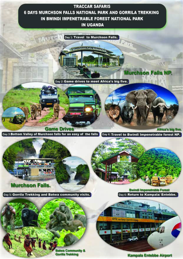 6 Days Murchison Falls & Gorilla Trekking